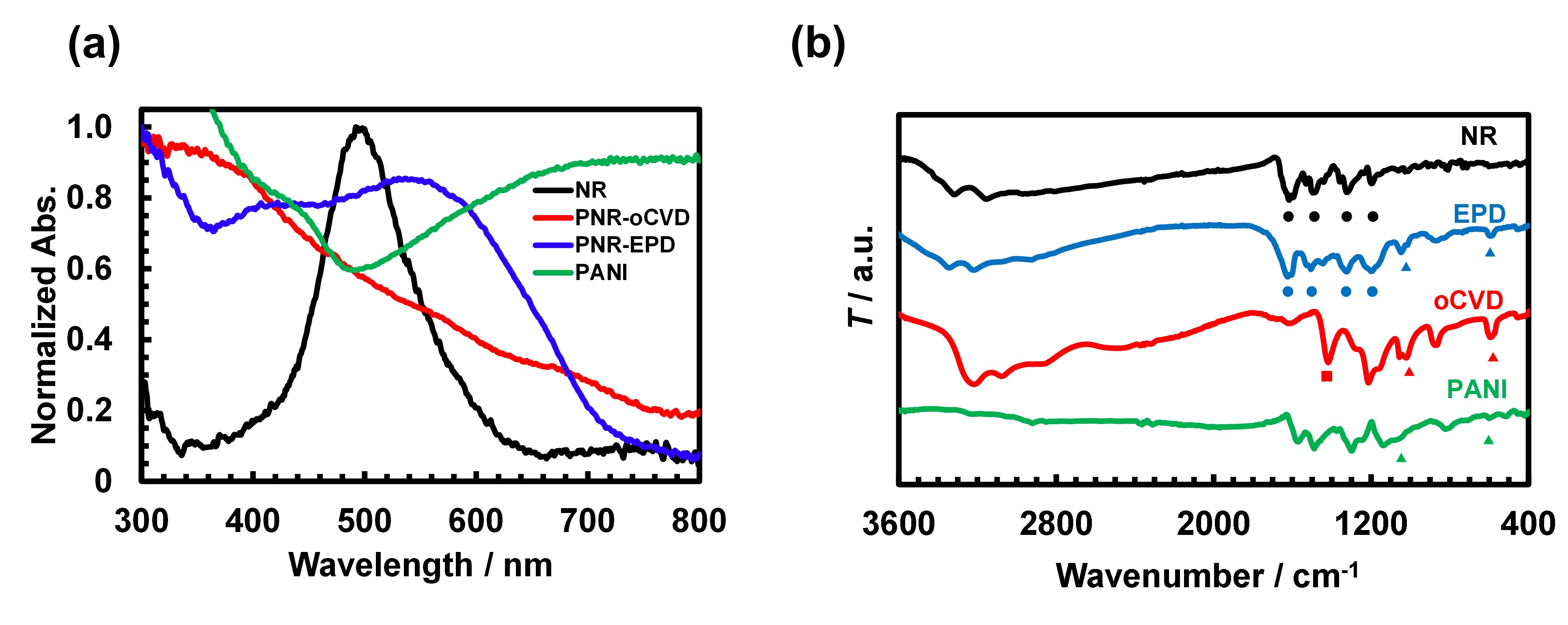 Fig.2. Spectroscopic characterizations: (a) Normalized UV-vis absorption spectra and (b) FTIR spectra of NR, PNR-oCVD, PNR-EPD and PANI. (●: C=C or C=N stretching, ■: s CH3, ▲: HSO4- / SO42- stretching)